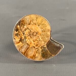 NO BRAND Fossil Size 9 Brown Silver Spiral Ring